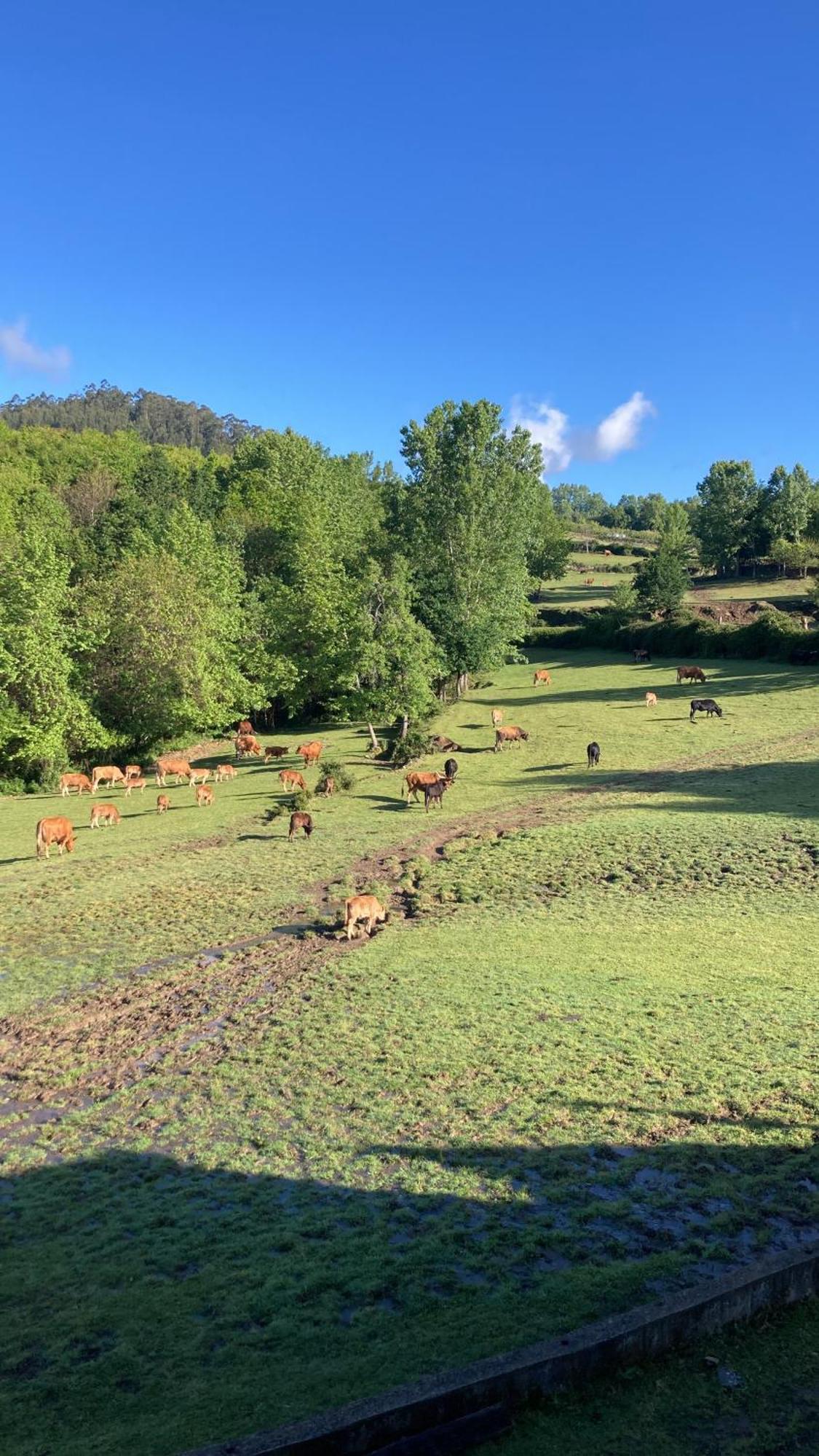 Villa Quinta De Boucas Cabeceiras de Basto Esterno foto